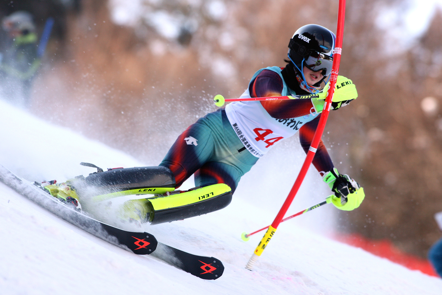 【サポート選手情報】アルペンスキー・若月 新選手へ語学習得サポートを開始！